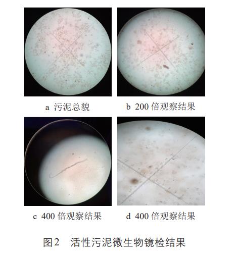 污水處理設備__全康環(huán)保QKEP
