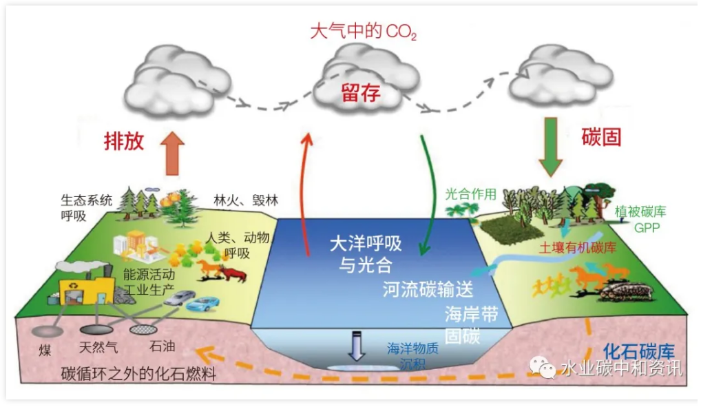 污水處理設備__全康環(huán)保QKEP