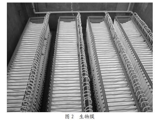 污水處理設備__全康環(huán)保QKEP
