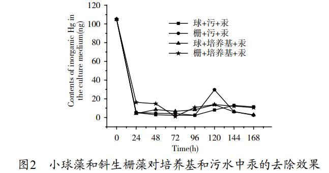 污水處理設備__全康環(huán)保QKEP