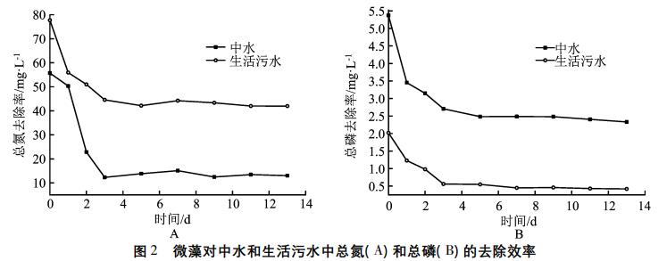 污水處理設備__全康環(huán)保QKEP