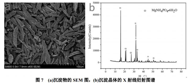 污水處理設備__全康環(huán)保QKEP