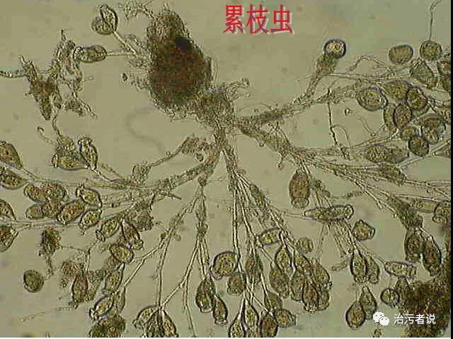 污水處理設備__全康環(huán)保QKEP