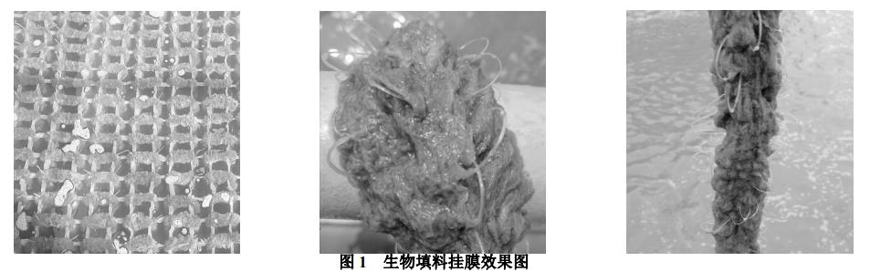 污水處理設備__全康環(huán)保QKEP