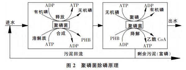 污水處理設備__全康環(huán)保QKEP